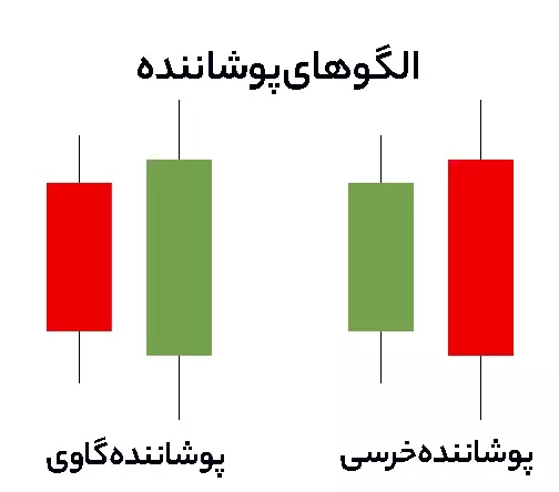 الگوی پوشاننده خرسی , گاوی