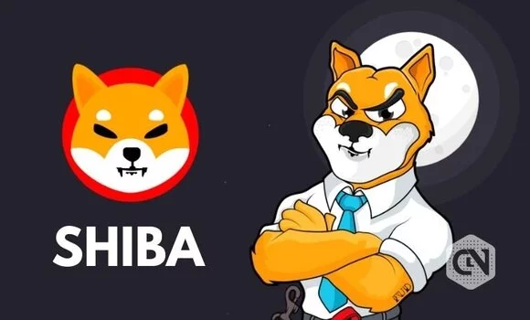 رشد SHIBA INU - پیش بینی قیمت شیبا اینو