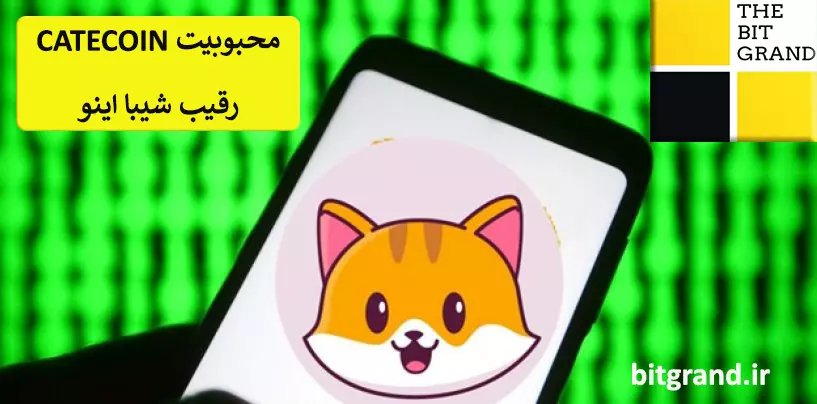 محبوبیت توکن CATECOIN یادآور روزهای اولیه شیبااینو SHIBA INU