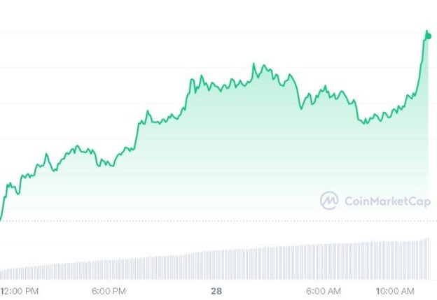 نمودار قیمت Notcoin: CoinMarketCap