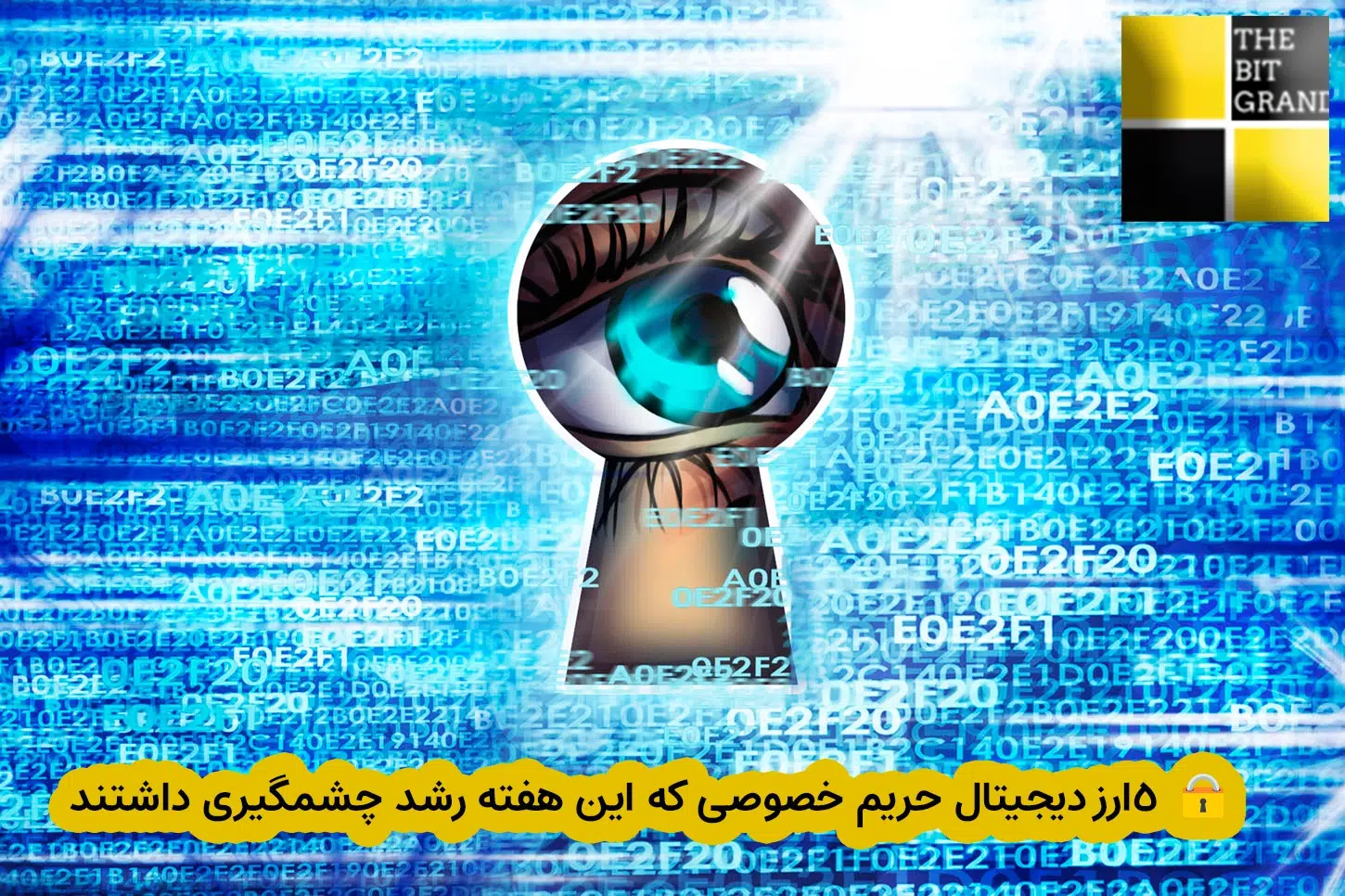 🔒 ۵ ارز دیجیتال حریم خصوصی که این هفته رشد چشمگیری داشتند.